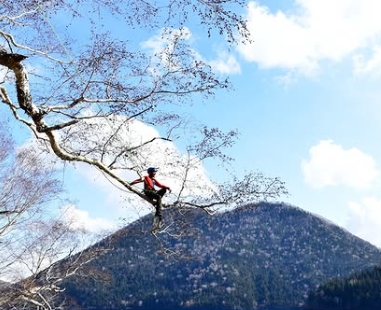 鴨子老師
