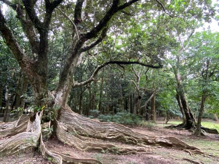 雲林縣校長環境教育研習