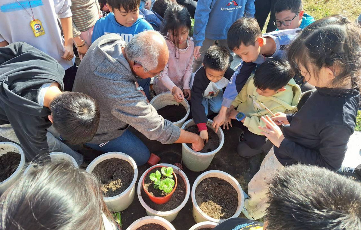 學生參與戶外教育植栽實作活動