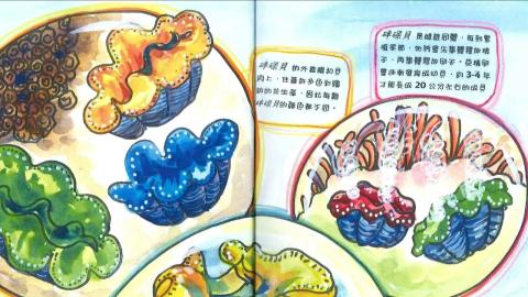 Embedded thumbnail for 108海洋文化-海中玫瑰-硨磲貝