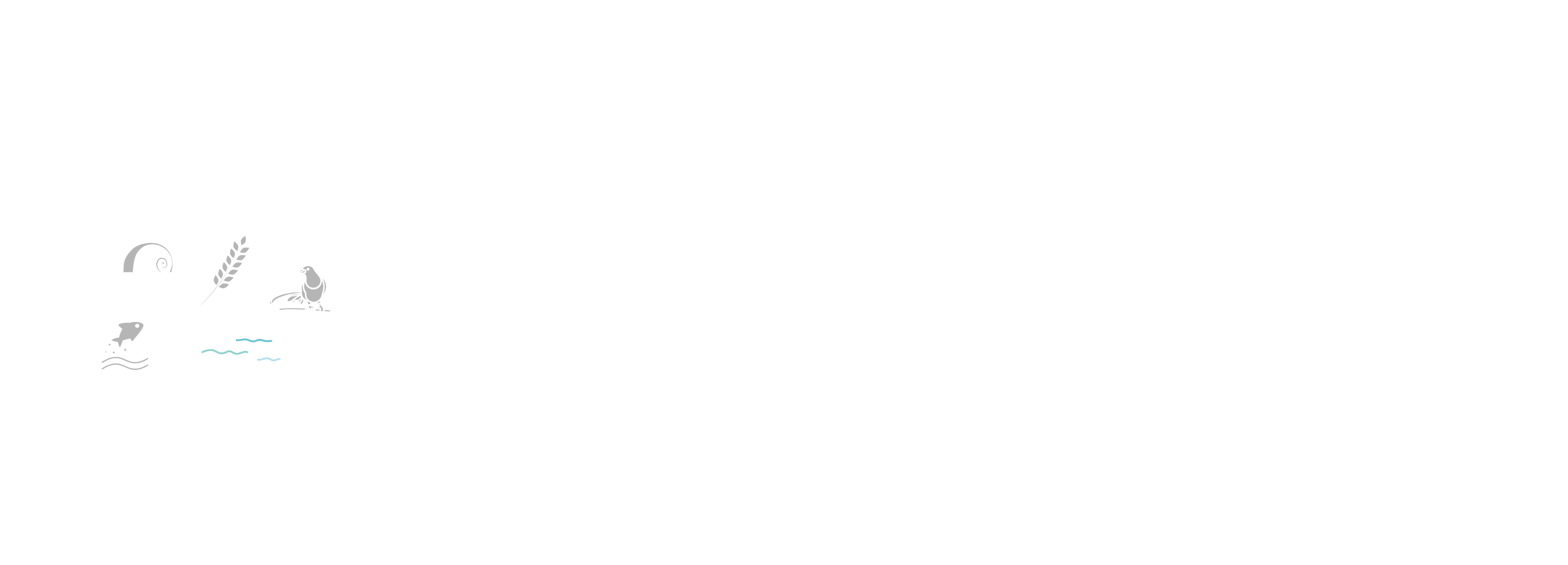 首頁